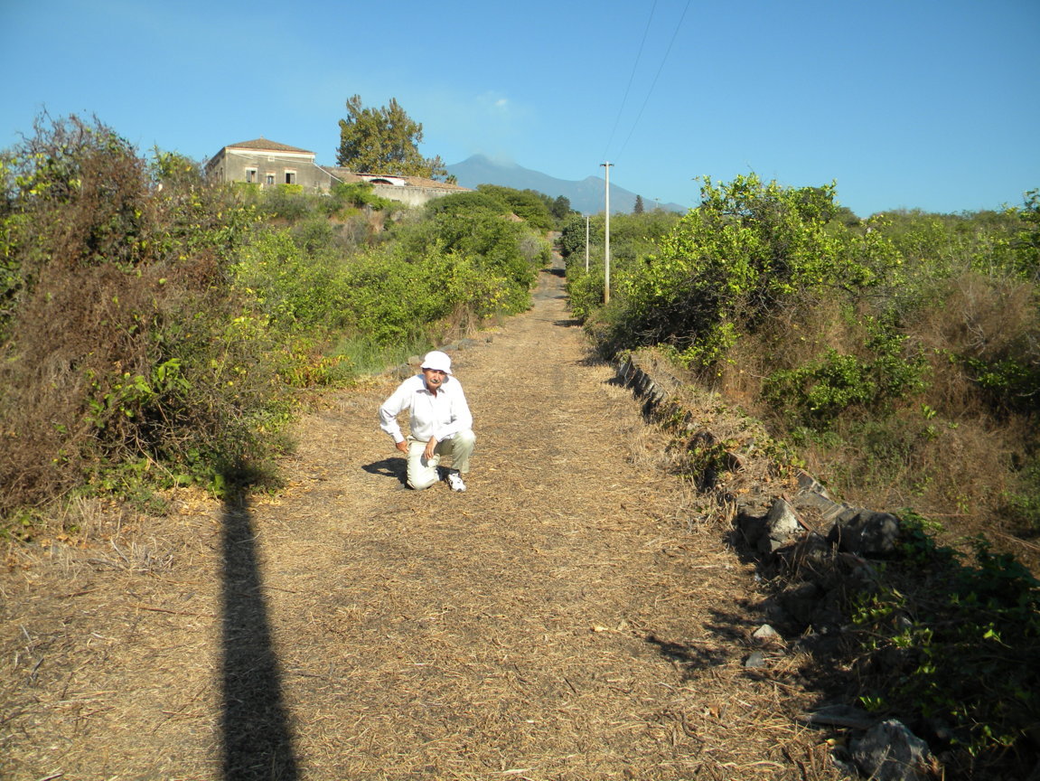 DSCN8139 .JPG
